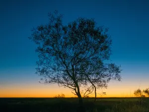 Parco nazionale Uluru-Kata Tjuta