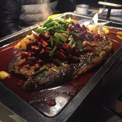 Tan Fish (chuangyichanyeyuan) User Photo