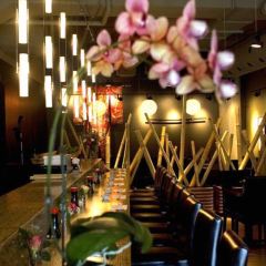 Kiko Sushi Bar User Photo