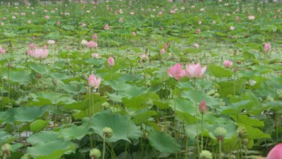 這裏值得一去，裡邊很漂亮，夏天還可以游泳不錯