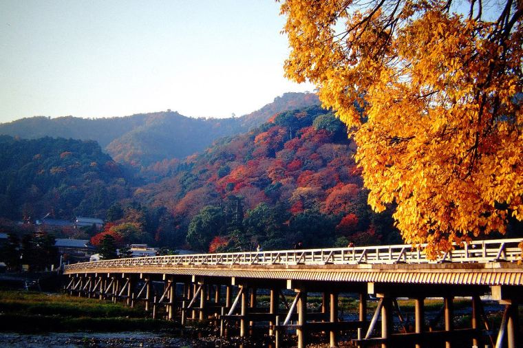 Trip.comを使って紅葉狩りに出掛けよう!