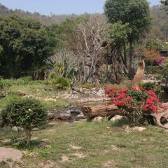 Thranthong Lodge Restaruant User Photo