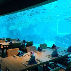 Aqua - Aquarium Restaurant User Photo