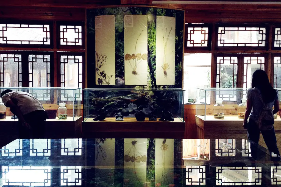 Xijiang Miao Museum