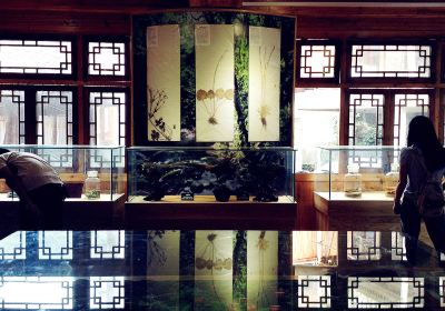 Xijiang Miao Museum