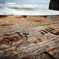 SEA STORY User Photo