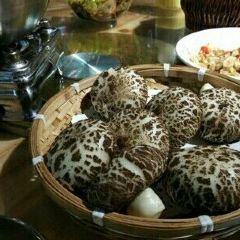 PENG CHU ZHU TI CAN TING User Photo