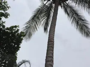 La Maringa