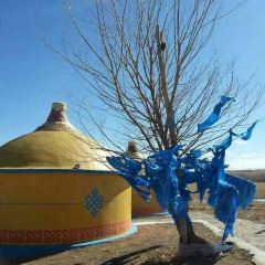 Race Course Mongolia Great Camp User Photo