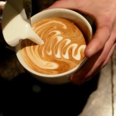 Espresso Vivace Roasteria User Photo