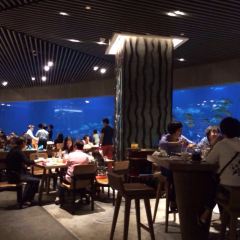 Aqua - Aquarium Restaurant User Photo