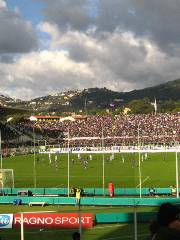 LO STADIO FRANCHI