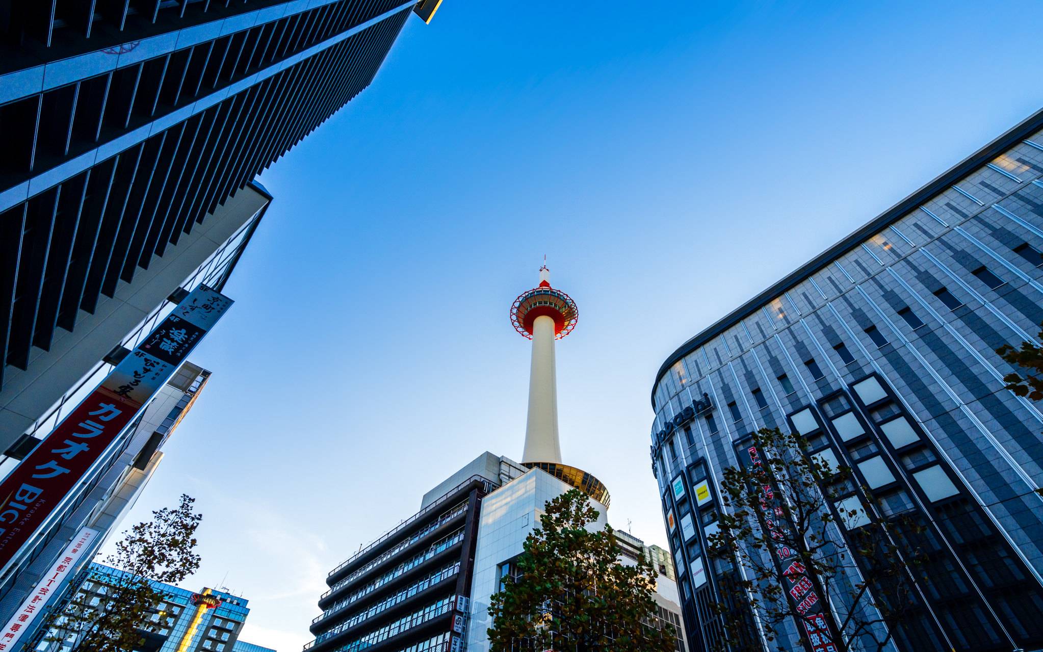 Whar Are the Main Attractions near Kyoto Station? | Kyoto Tower