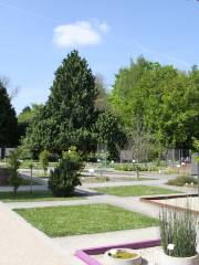 Ботанический сад Гейдельбергский университет