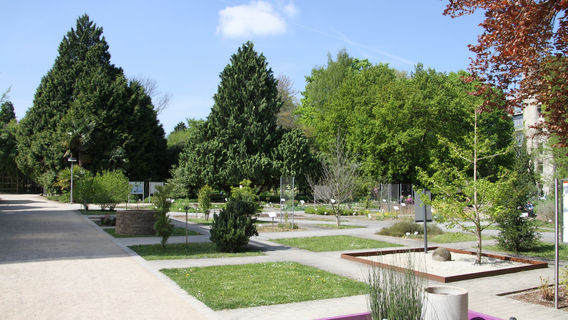 Heidelberg Botanical Garden