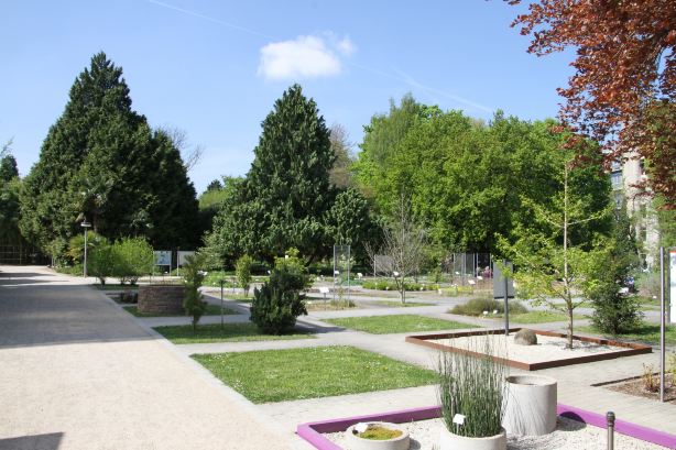 Heidelberg Botanical Garden