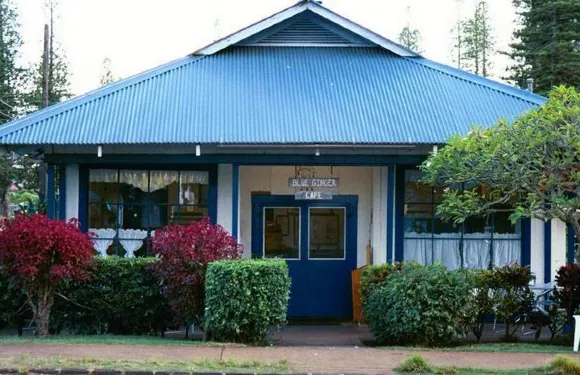 Blue Ginger Cafe