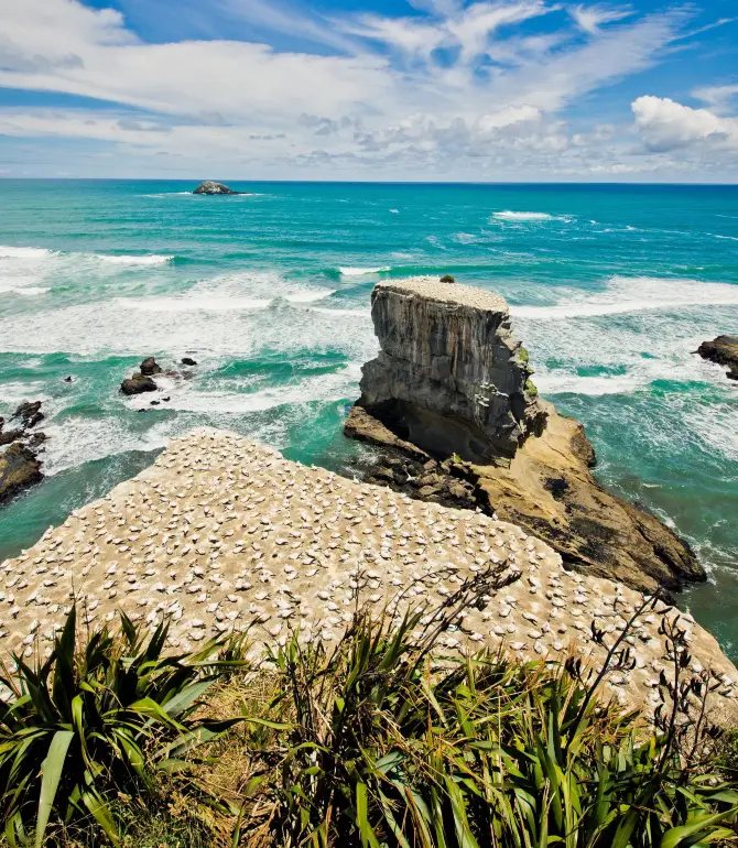 Muriwai