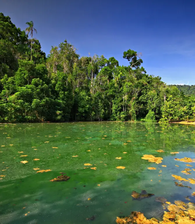 Khlong Thom