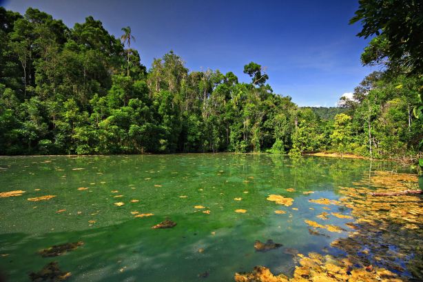Khlong Thom