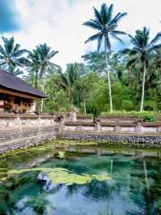 Templo Tirta Empul