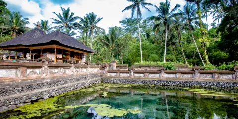 峇里島烏布探秘：聖泉寺+聖猴公園+梯田+烏布皇宮&集市一日遊