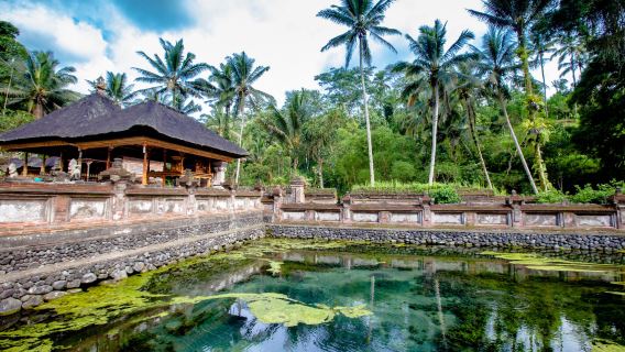 Découverte d'Ubud à Bali : Excursion d'une journée au Temple de Tirta Empul, forêt des singes, rizières en terrasses, palais royal et marché d'Ubud