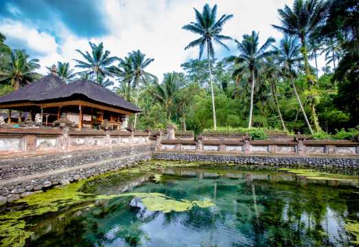 Bali Ubud exploration: Tirta Empul Temple + Sacred Monkey Forest + Rice terraces + Ubud Palace & market 1-day tour Bali Ubud exploration: Tirta Empul Temple + Sacred Monkey Forest + Rice terraces + Ubud Palace & market 1-day tour