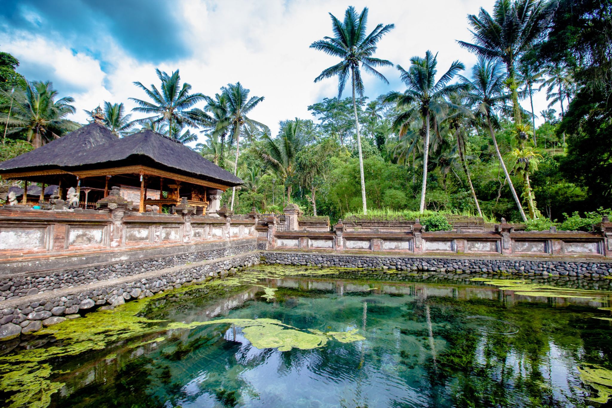Bali Ubud exploration: Tirta Empul Temple + Sacred Monkey Forest + Rice terraces + Ubud Palace & market 1-day tour