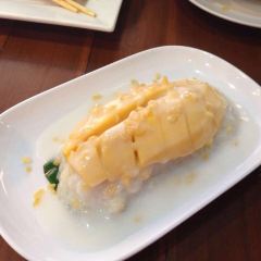 Green Bird User Photo