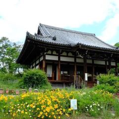 寺 般若