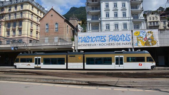 Rochers-de-Naye Marmottes Paradis