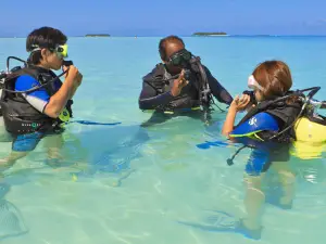 薇拉瓦魯島浮潛體驗