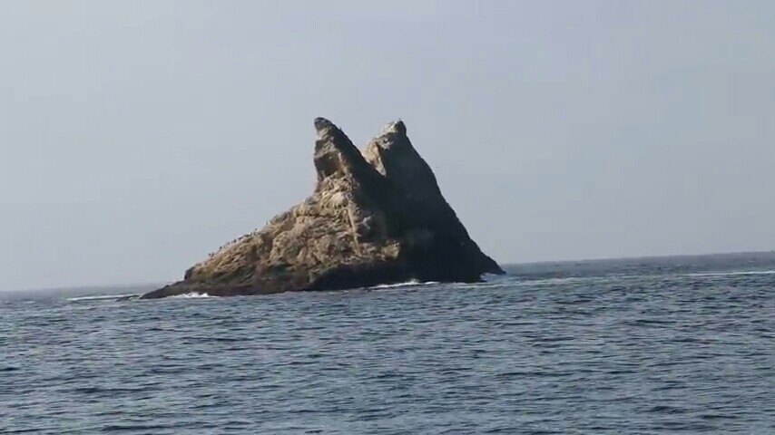 サンフランシスコ ファラロン諸島 評判 案内 トリップドットコム