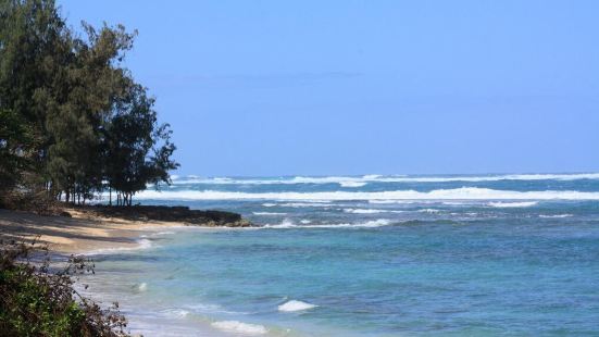 Waialae beach park坐落在欧胡岛的富人区内，