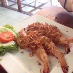 Green Bird User Photo