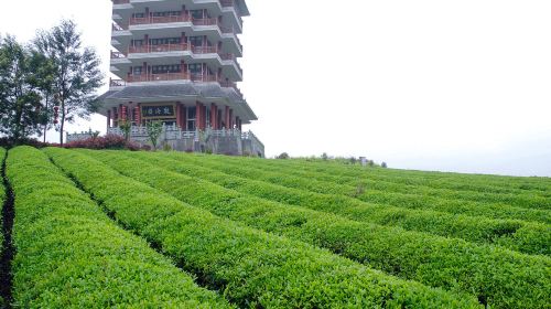 中國茶海景區（湄潭茶海）