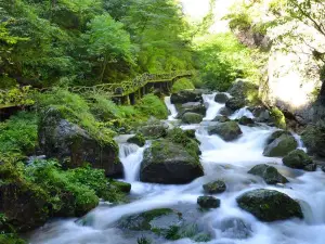十堰5大玩水避暑