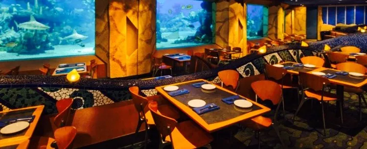 Coral Reef Restaurant