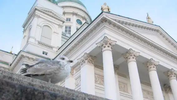 All kinds of translators, Guide , chartered private charter, photographers, business escorts, medical accompaniment, travel guides, customization