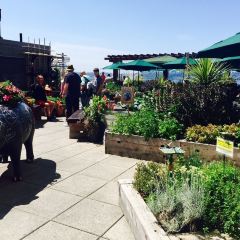 Maximilien Restaurant User Photo