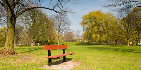 多倫多羣島+懸崖公園+聖勞倫斯市場+安大略省美術館一日遊