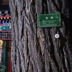 Dong Lai Shun Restaurant (apmzongdian ) User Photo