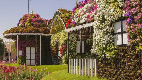 Dubai Miracle Garden