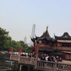 Nanxiang Steamed Bun Restaurant User Photo