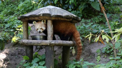 オーデンセ動物園