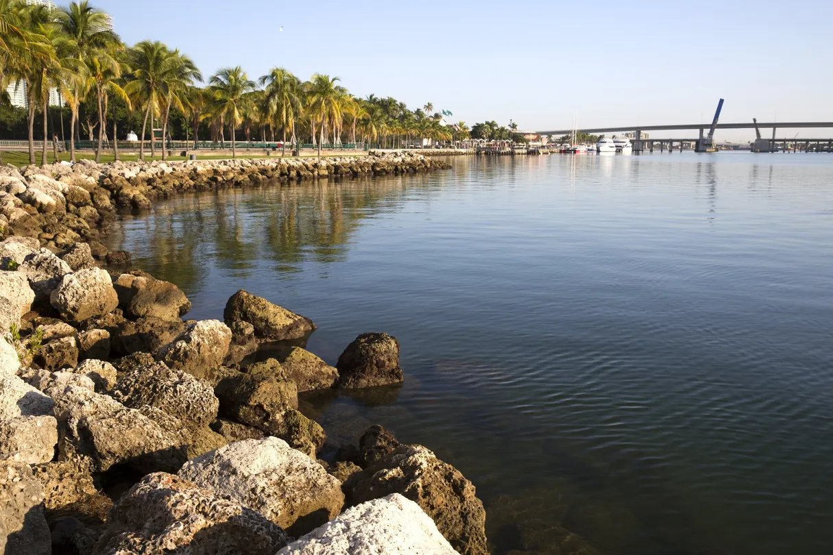 3_Bayfront Park