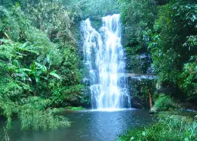 Qing Mountain Waterfall