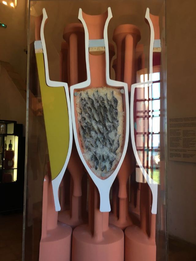 Museum of the Sea