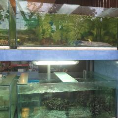 Happy Happy Cenang Seafood Restaurant User Photo